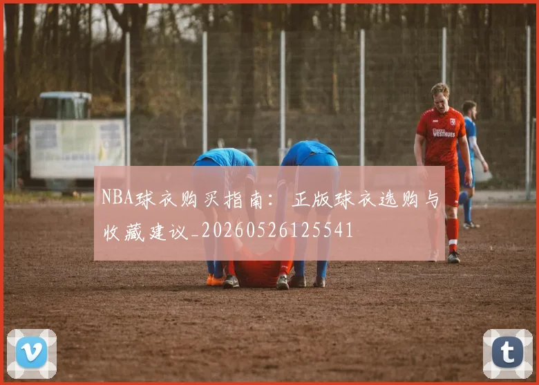 NBA球衣购买指南:正版球衣选购与收藏建议_20260526125541