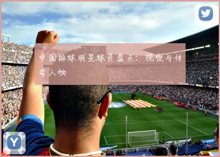 中国排球明星球员盘点:现役与传奇人物