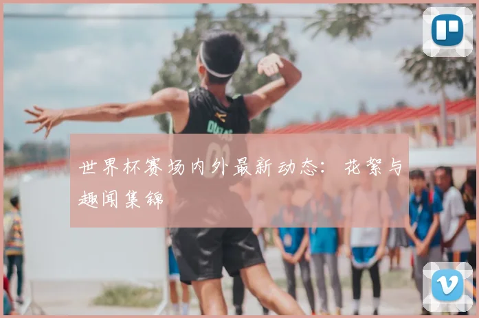 世界杯赛场内外最新动态：花絮与趣闻集锦